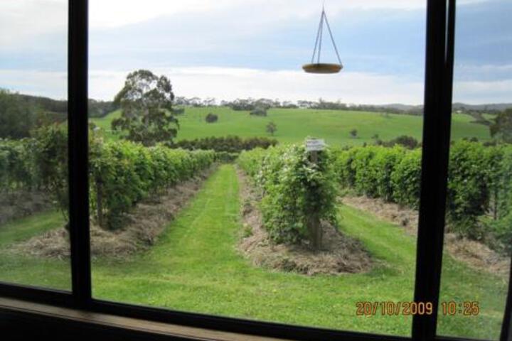 Murroon VIC Accommodation Gladstone