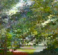 Banyan Tree Resort - Accommodation Gladstone