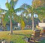 The Oasis on Jacobs Drive - Accommodation Gladstone