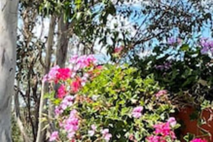 Anduramba QLD Accommodation Gladstone