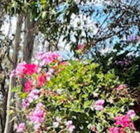 Crows Nest Motel - Accommodation Gladstone