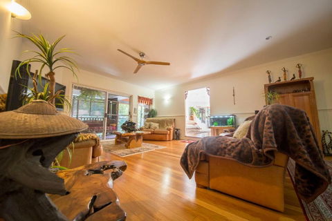 The Tree House. Treetop Living Near The Ocean Coolum Beach QLD Australia - Accommodation Gladstone 4
