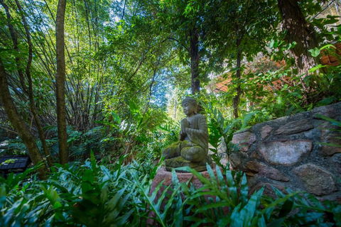 The Tree House. Treetop Living Near The Ocean Coolum Beach QLD Australia - Accommodation Gladstone 2