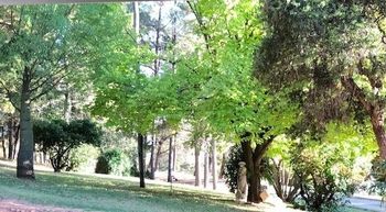 Eemnes Park Estate - Accommodation Gladstone 6