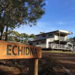 Echidna On Bruny - Accommodation Gladstone 0