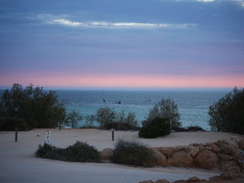 Denham Seaside Caravan Park - Accommodation Gladstone 1