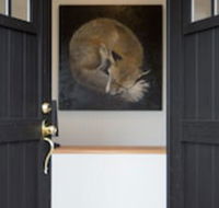 Fox on the Run - Motel Kilmore - Accommodation Gladstone