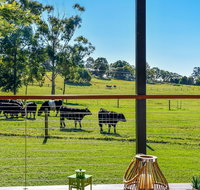 Curra Homestead Maleny - Accommodation Gladstone