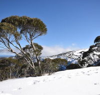 Alpine Heights 9 - Accommodation Gladstone