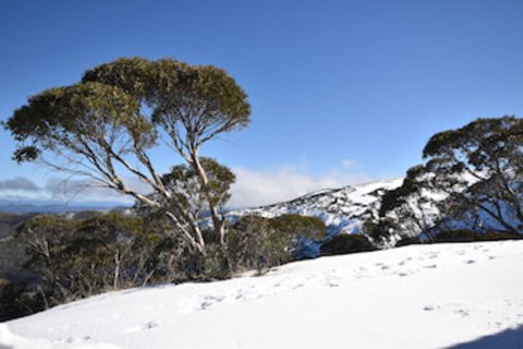 Alpine Heights 9 - Accommodation Gladstone 0