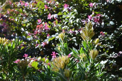 A Bach At Bright Bright VIC - Accommodation Gladstone 4