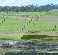 Yea Woodduck Cottage - Accommodation Gladstone