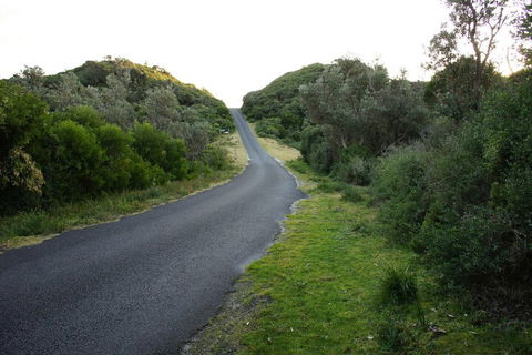 Venus Escapes Guesthouse - Accommodation Gladstone 2