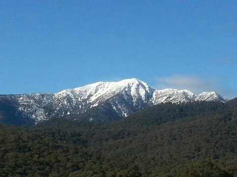 Alps Lodge - Accommodation Gladstone 4