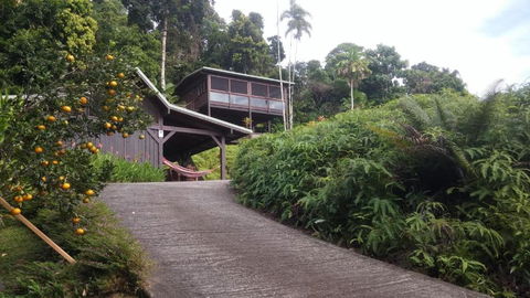 Daintree Holiday Homes La Vista - Accommodation Gladstone 4
