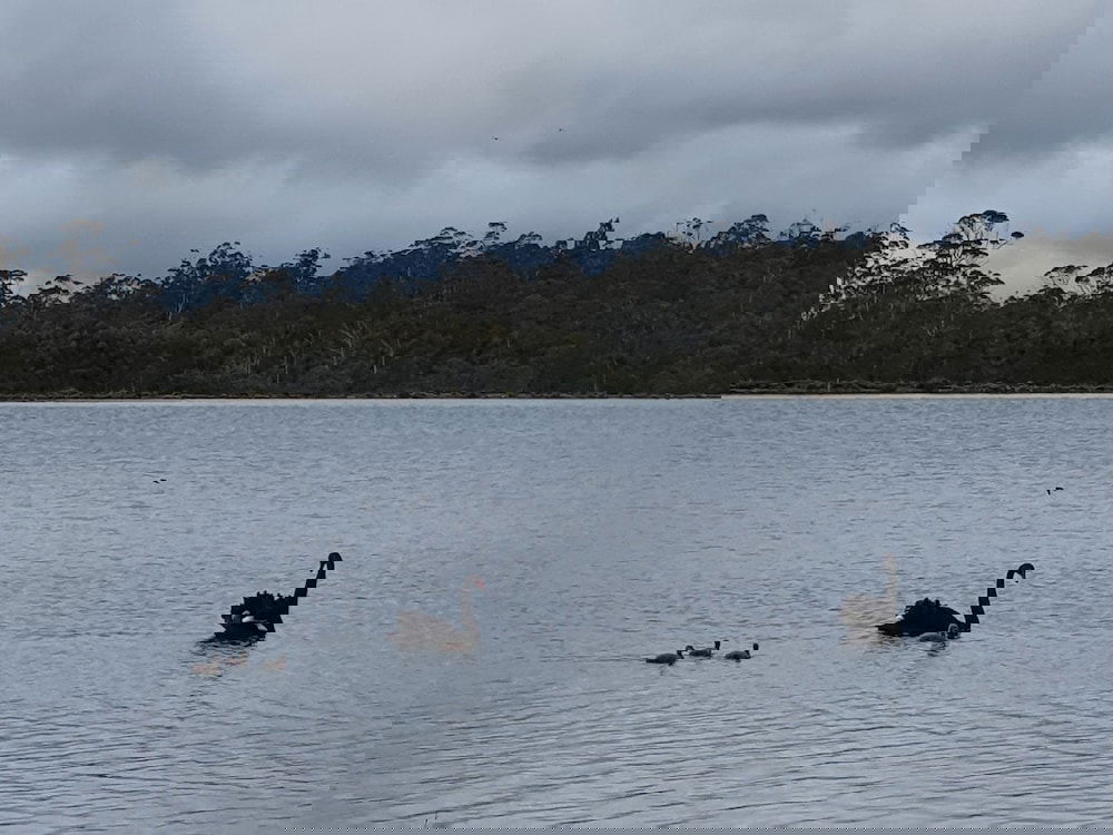 Lake Leake TAS Accommodation Gladstone