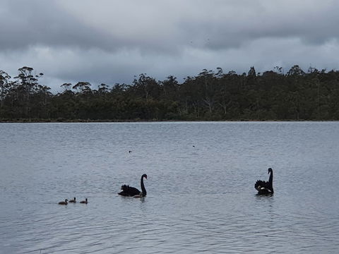 Lake Yalleena Nature Retreat - Accommodation Gladstone 0