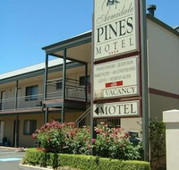 Armidale Pines Motel - Accommodation Gladstone