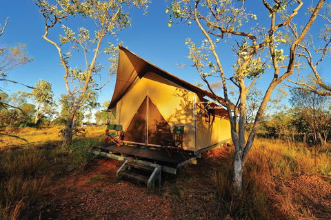 Bungle Bungle Wilderness Lodge - Accommodation Gladstone 4