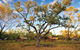 Bungle Bungle Wilderness Lodge - thumb 5
