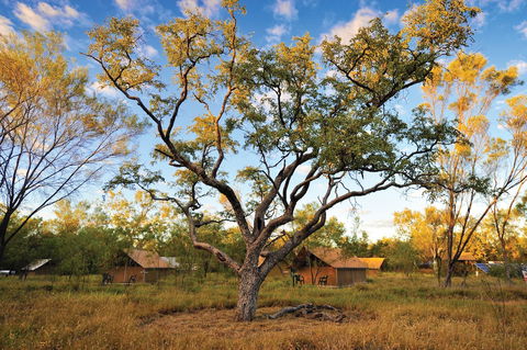 Bungle Bungle Wilderness Lodge - Accommodation Gladstone 5