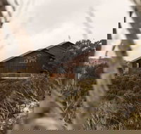 Duck Inn Mt Buller - Accommodation Gladstone