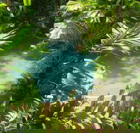 Palm Cove Tropic Apartments - Accommodation Gladstone