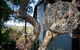 HideAway Haven - thumb 6
