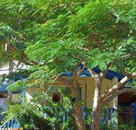 Amber Gardens Guesthouse - Accommodation Gladstone