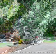 Oasis at Palm Cove - Accommodation Gladstone