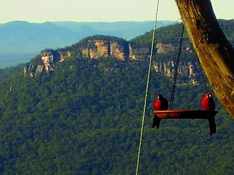 Valley Of The Waters B&B - Accommodation Gladstone 3