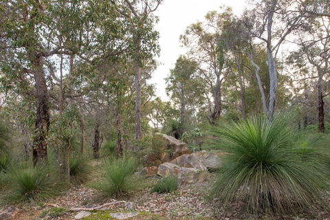 A Hidden Bush Delight - Accommodation Gladstone 6