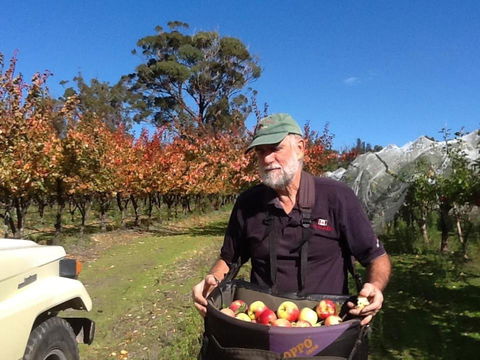 Eureka Farm - Accommodation Gladstone 1