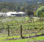 Eureka Farm - Accommodation Gladstone