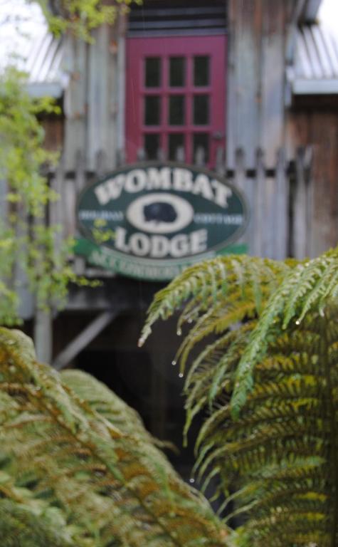 The Wombat Cottage - Accommodation Gladstone 1