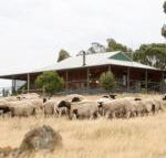 Gilgraves Vineyard Farmstay - Accommodation Gladstone
