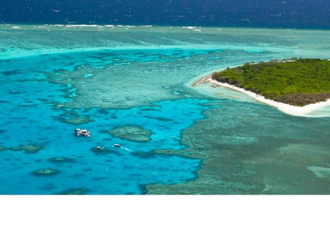 Reef Suite - Accommodation Gladstone 3