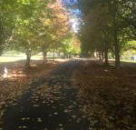 A peaceful cabin in the country - Accommodation Gladstone