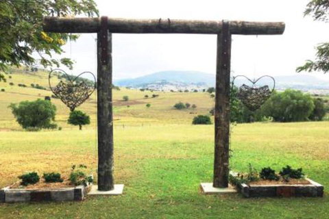 Milford Country Cottages - Accommodation Gladstone 6