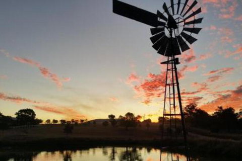 Milford Country Cottages - Accommodation Gladstone 3