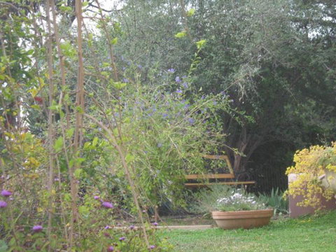 Amalie Cottage Waikerie Unit 1 - Accommodation Gladstone 5