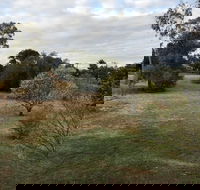 Young Budget Accommodation - Accommodation Gladstone