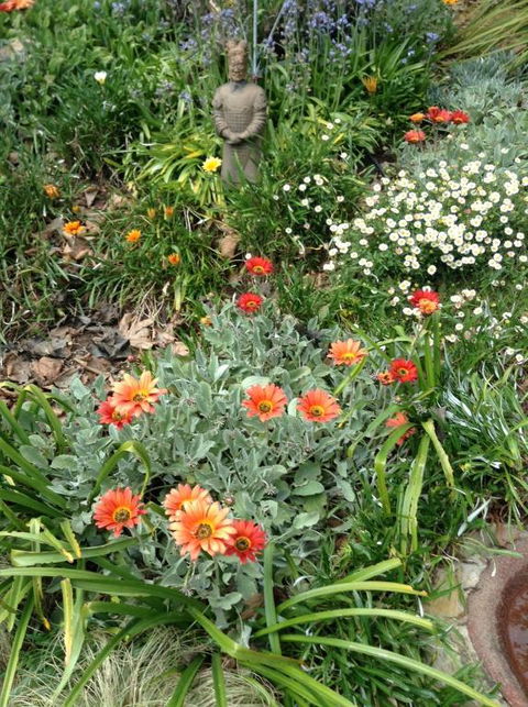 Adelaide Hills B & B Accommodation - Accommodation Gladstone 2