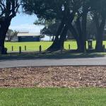Yaringa Cottage...by The Sea - Accommodation Gladstone 0