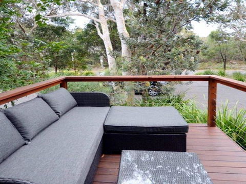 Scribbly Gum On Benton Bushland Setting - Accommodation Gladstone 4