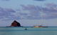 LANDSCAPE At PALM COVE - thumb 5