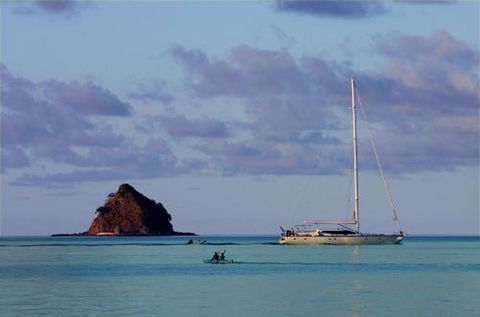 LANDSCAPE At PALM COVE - Accommodation Gladstone 5