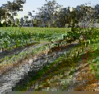Renovated Cottage Aberdare Hunter Valley - Accommodation Gladstone