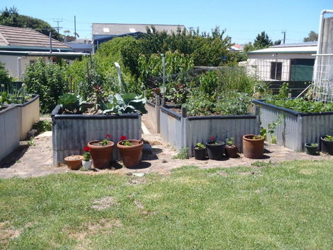 Evergreen - Accommodation Gladstone 4