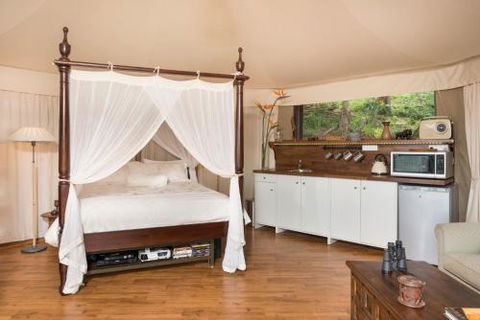 Clouds Safari - Accommodation Gladstone 4